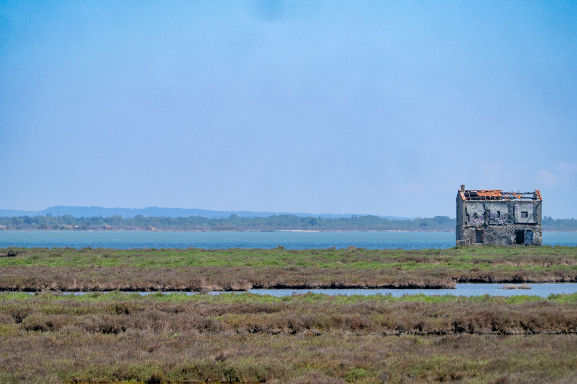 Camargue