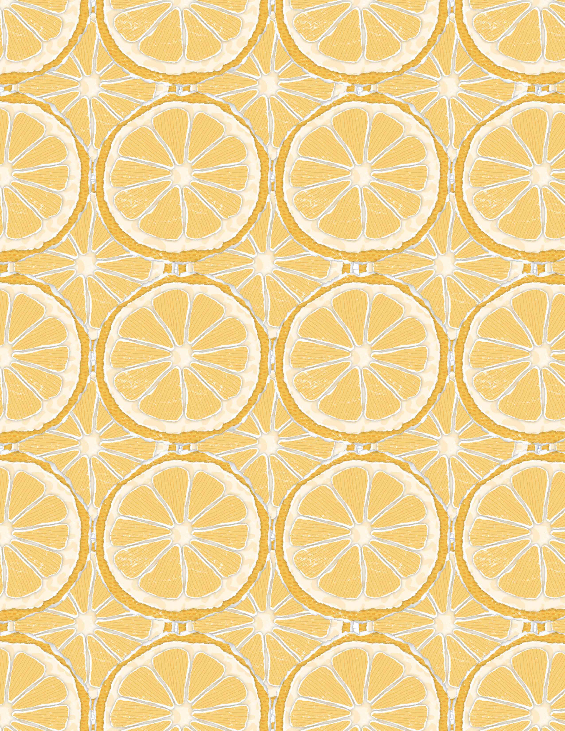 Lemon Slices