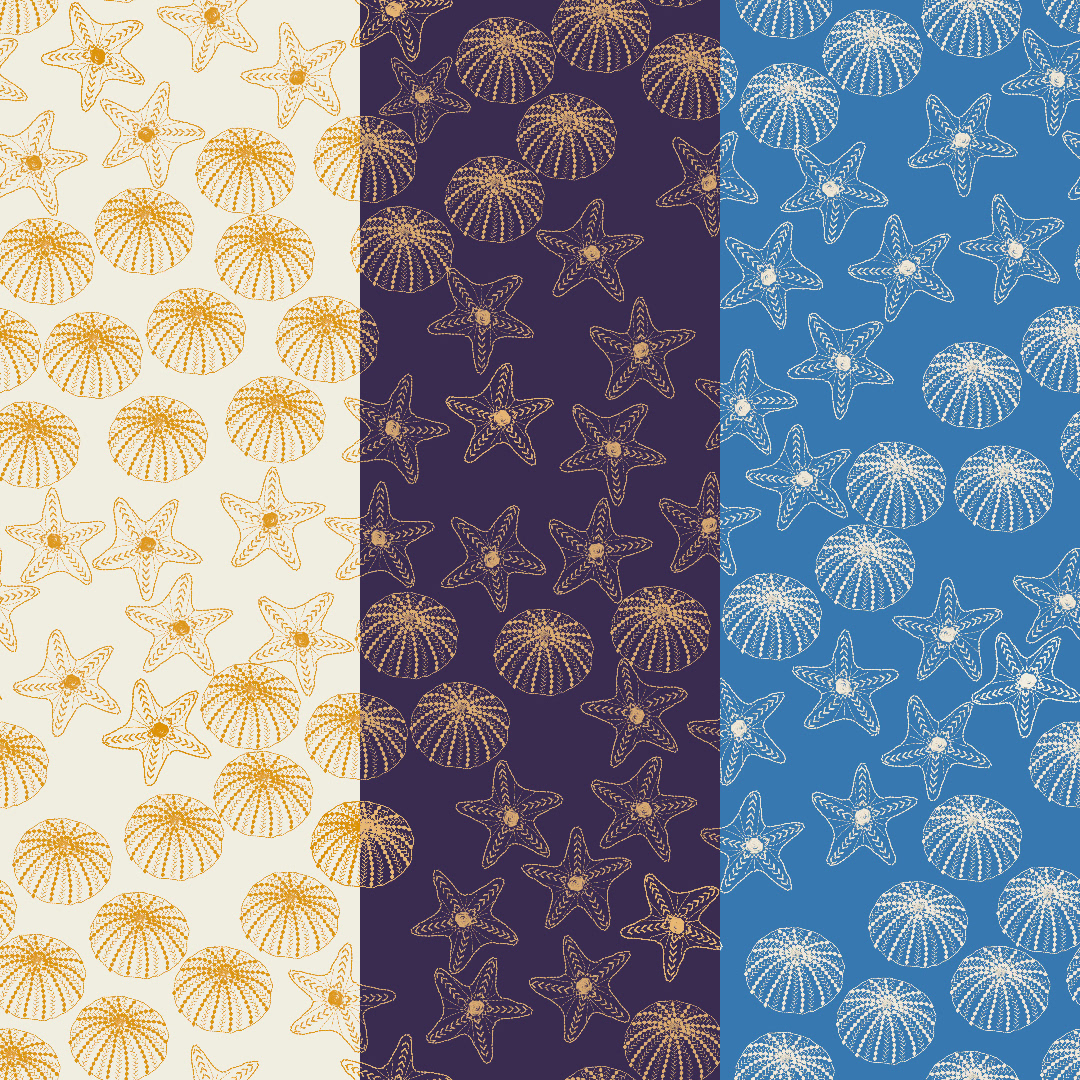 Starfish Ocean Waves