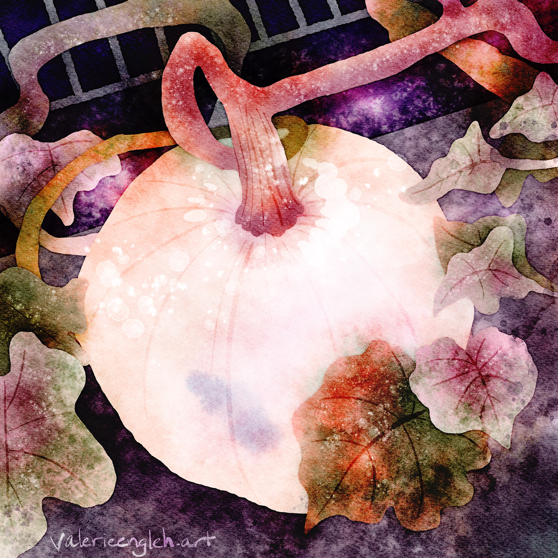 White Pumpkin