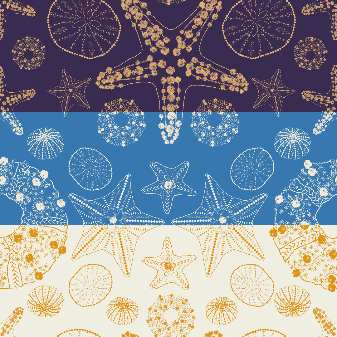 Sea Stars and Urchins Ogee