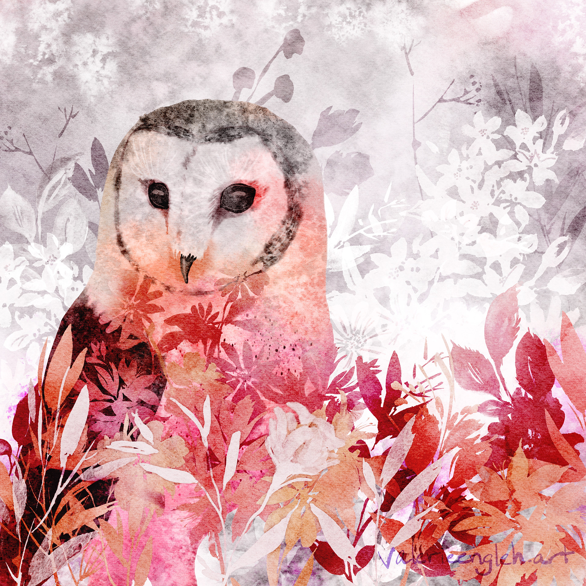 Barn Owl in Flower Field Pink
