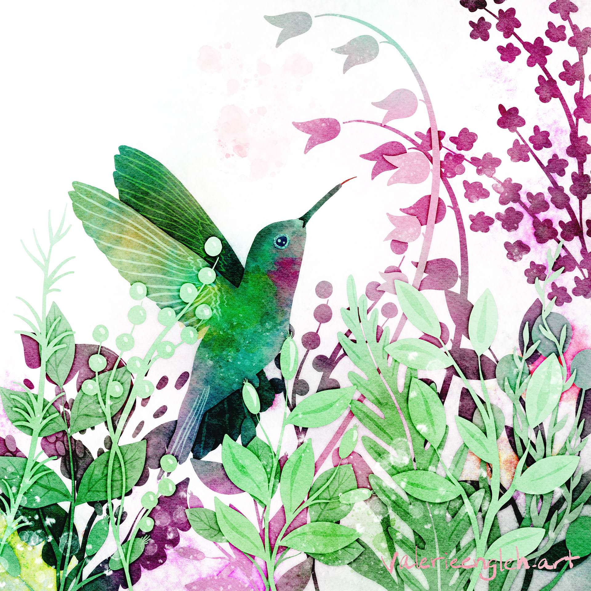 Hummingbird