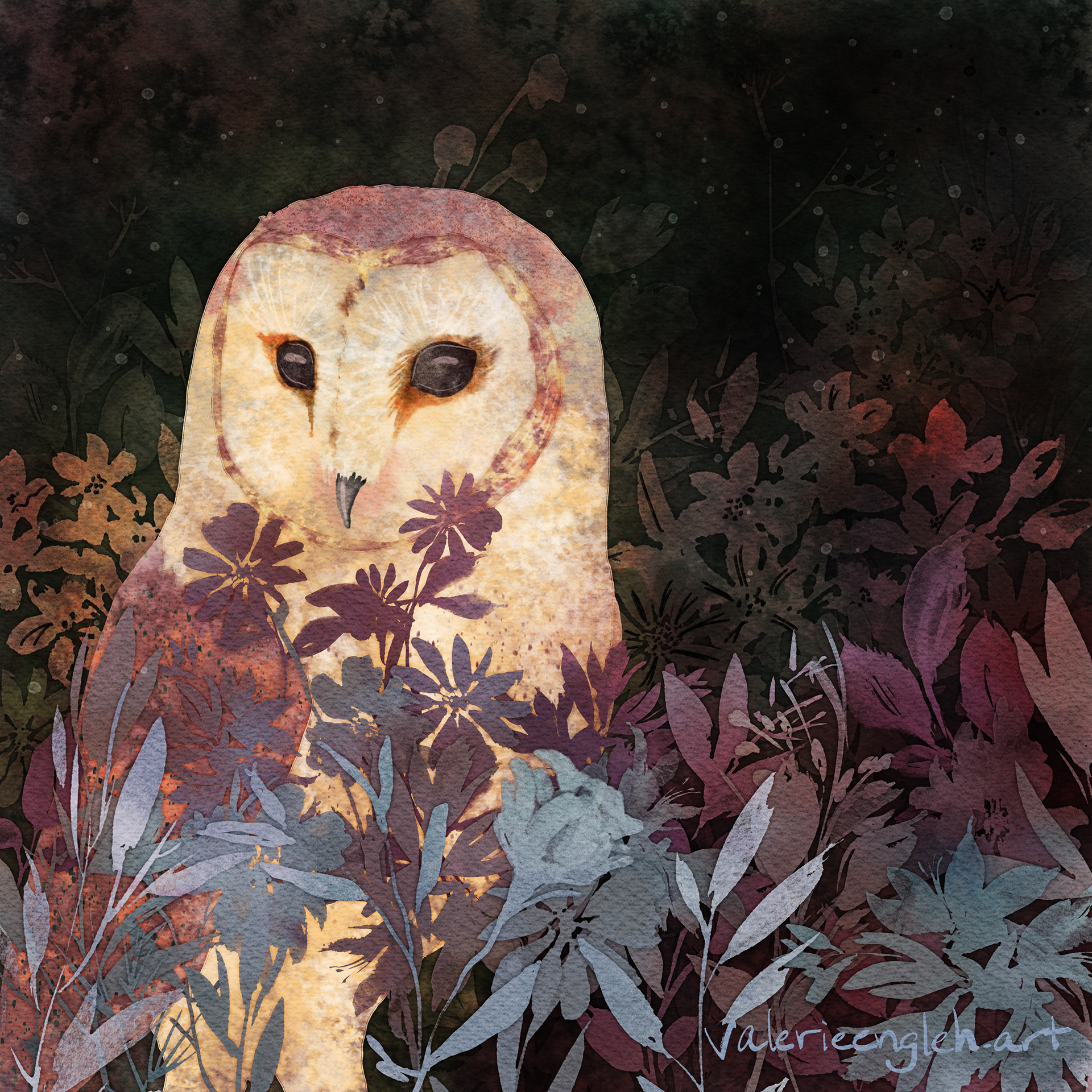 Barn Owl in Flower Field