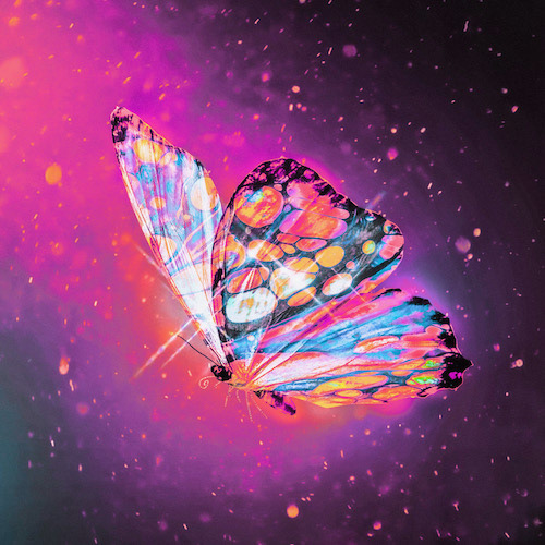 paint texture by Alycia Rainaud