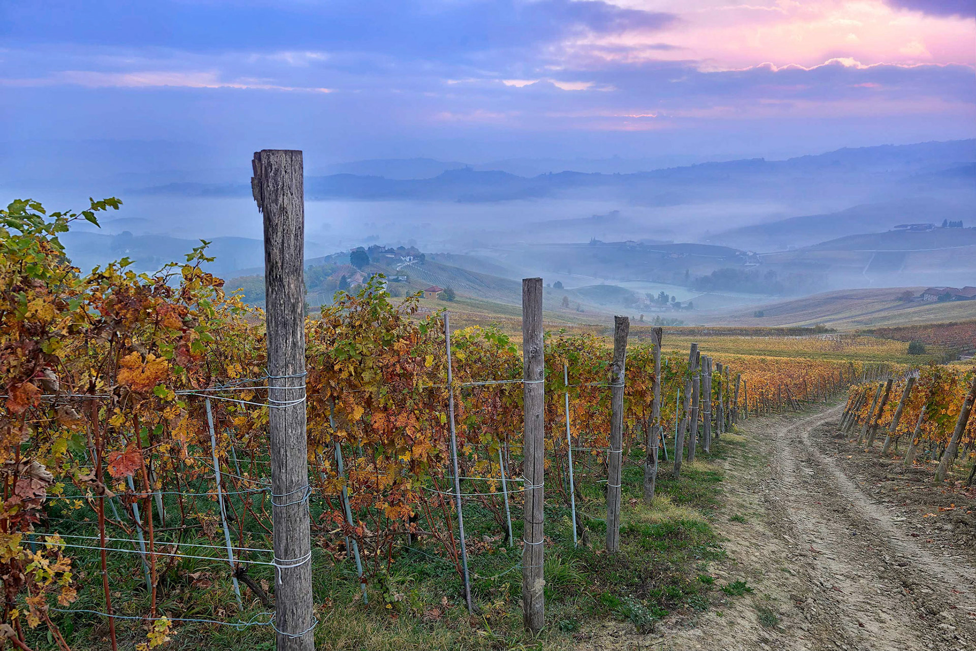 Italy, Barolo