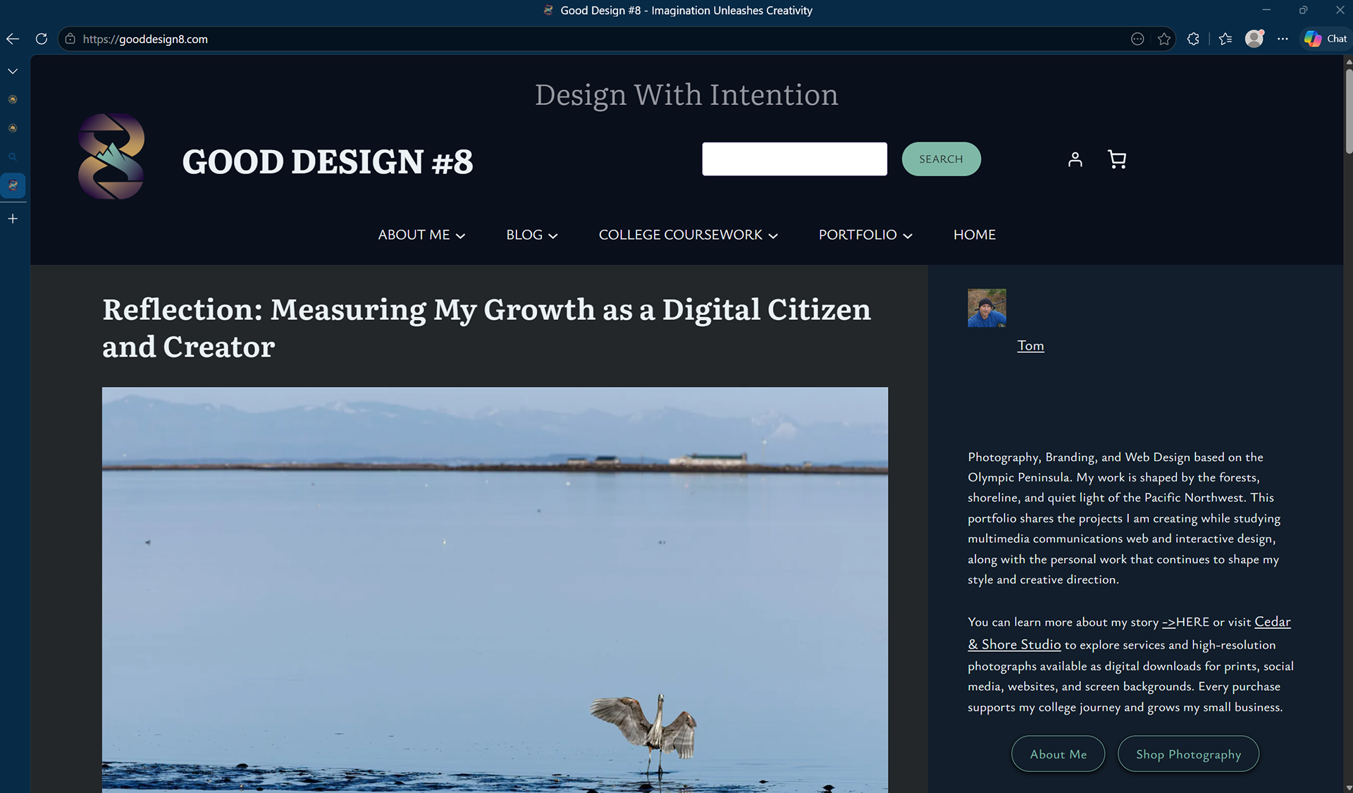 Article Page Design