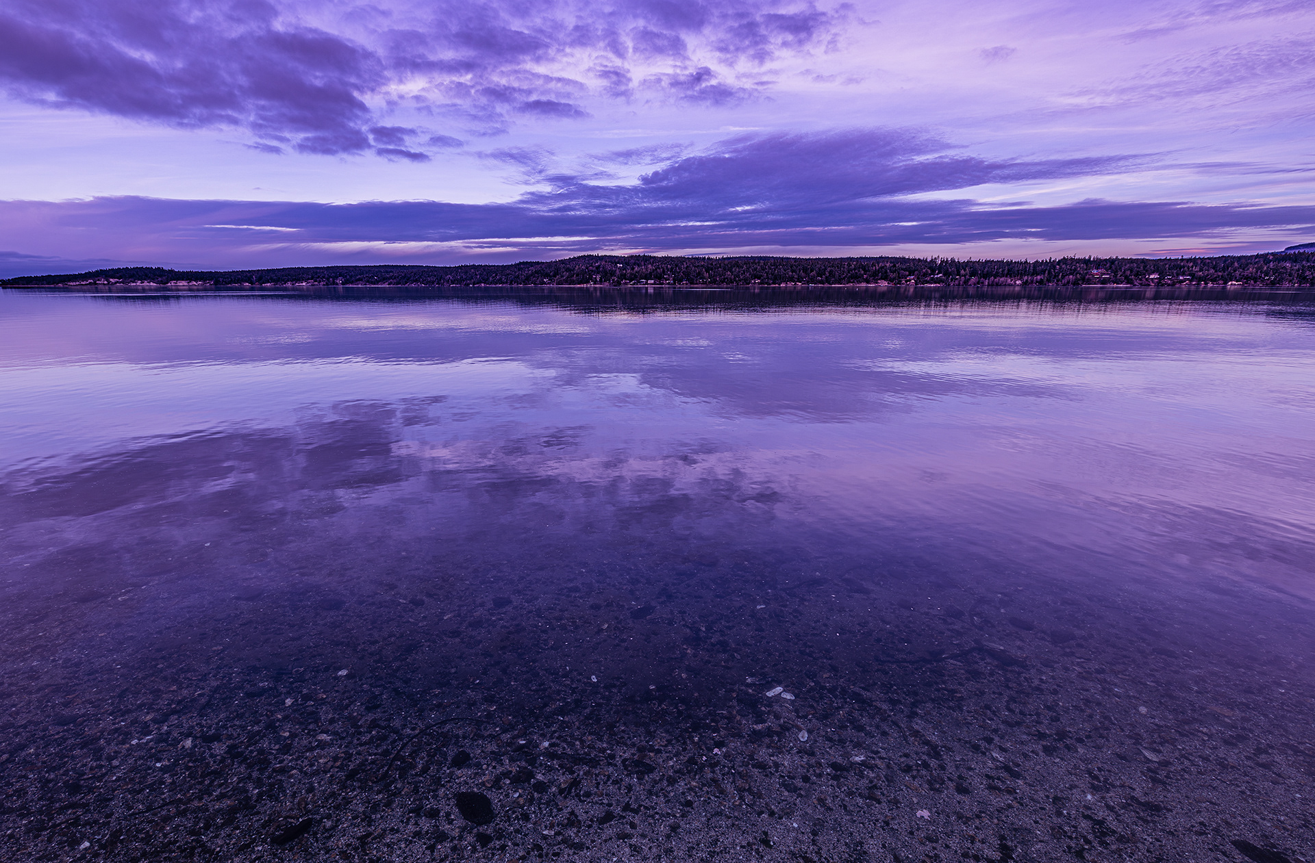Calm water in the bay reflects the clouds in detail at blue hour in Sequim Bay State Park