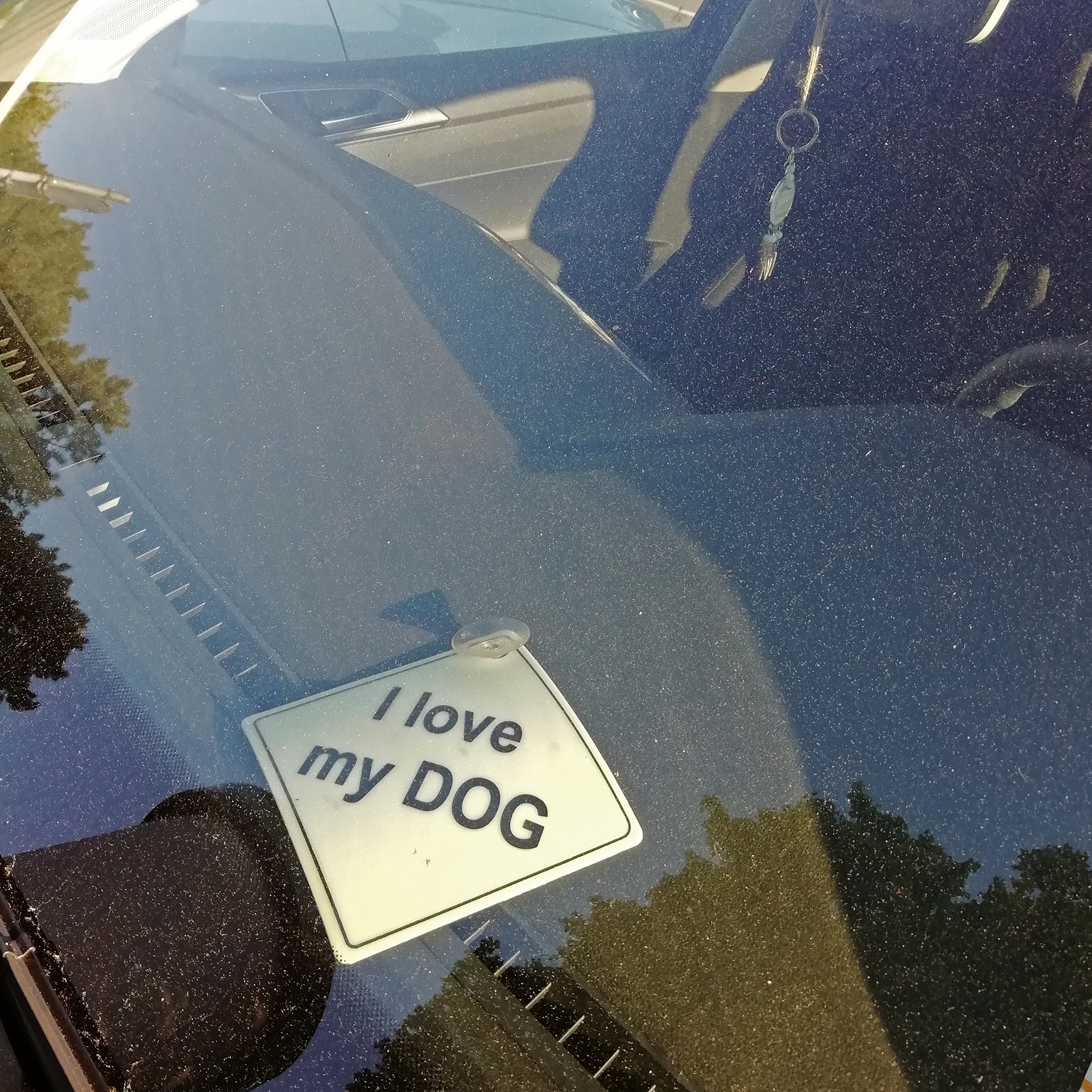 Hundebesitzer