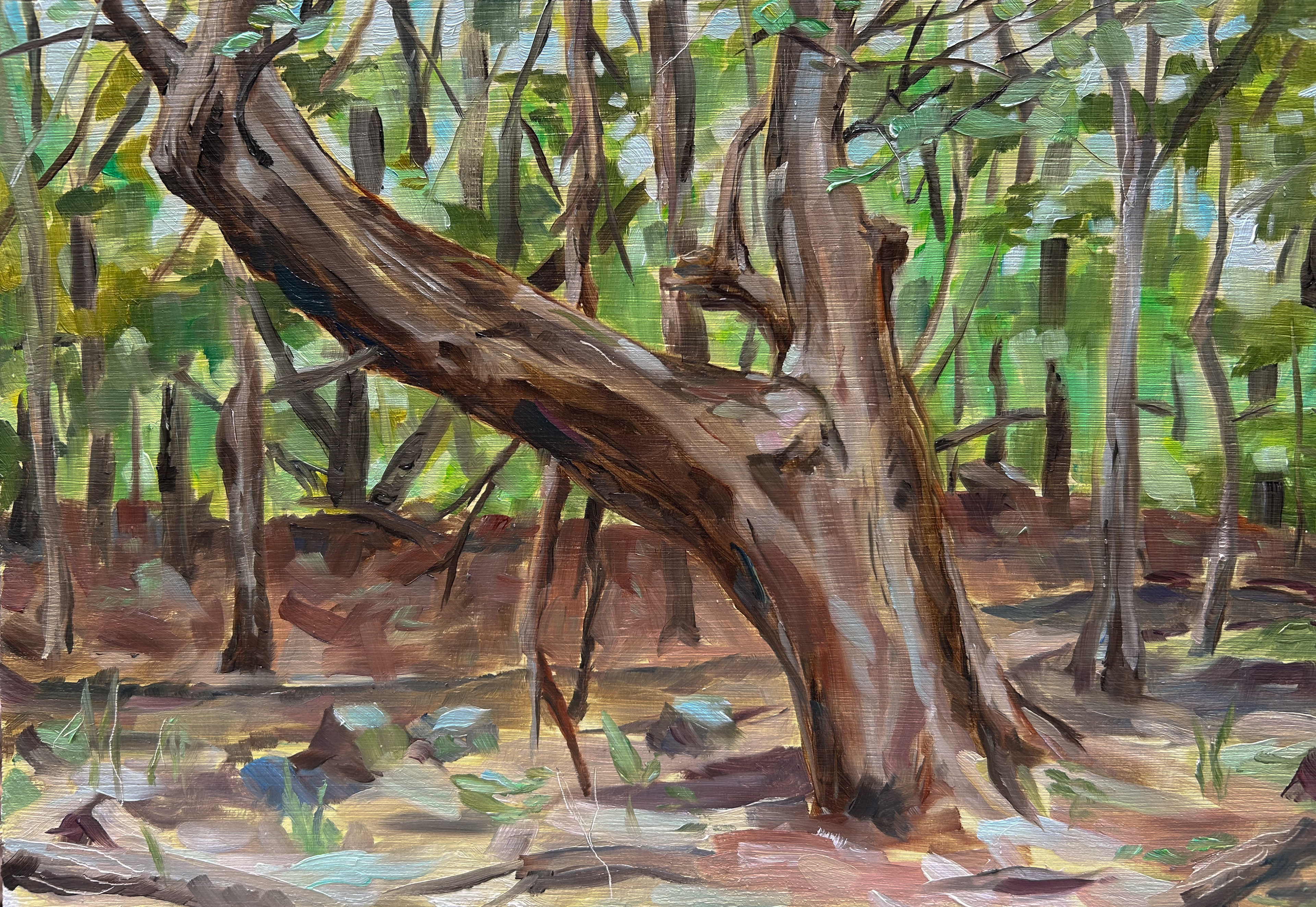 Oil on Board, 8 X 11.5 Inches, $185