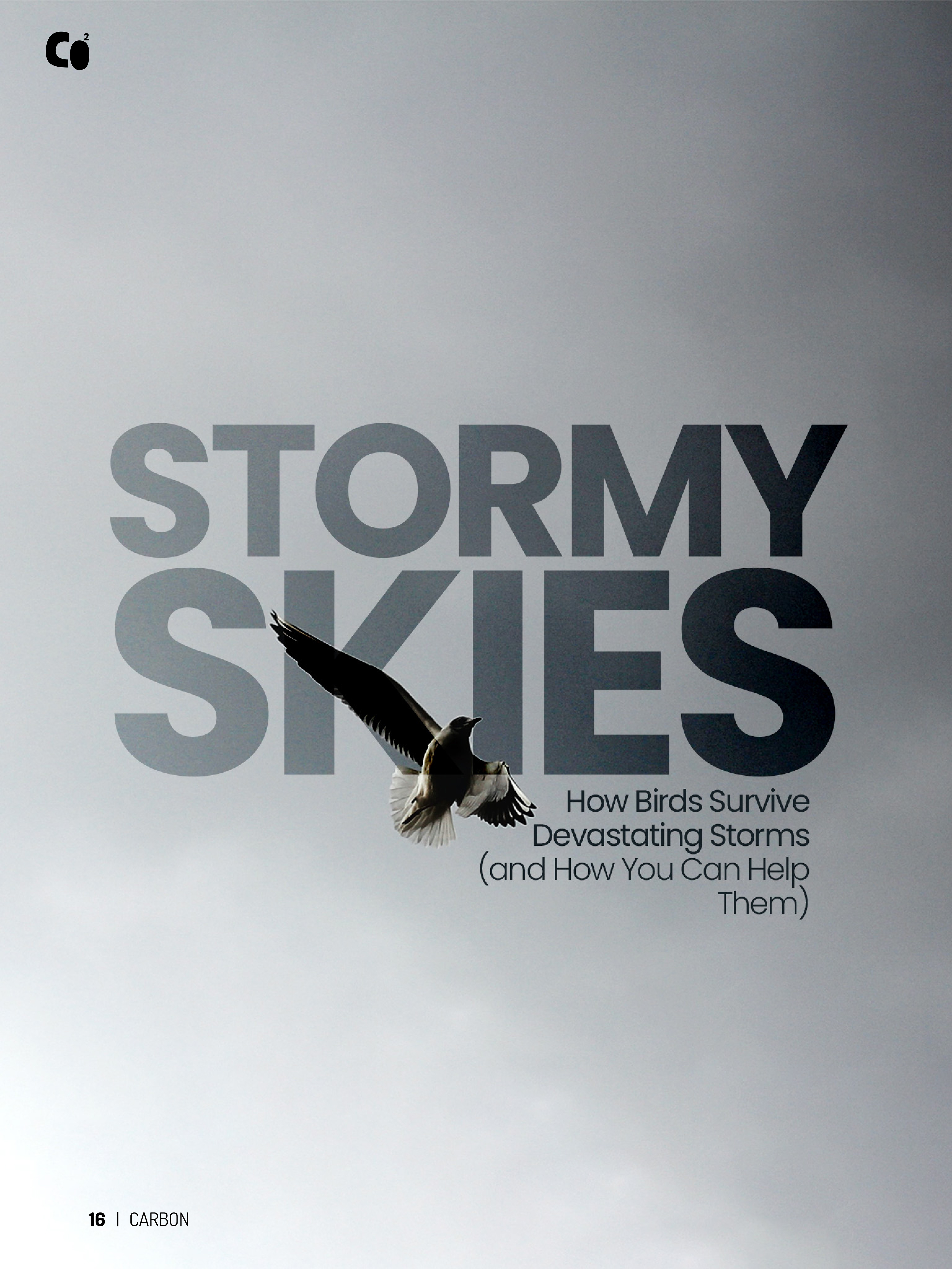 Carbon Magazine - Stormy Skies Page