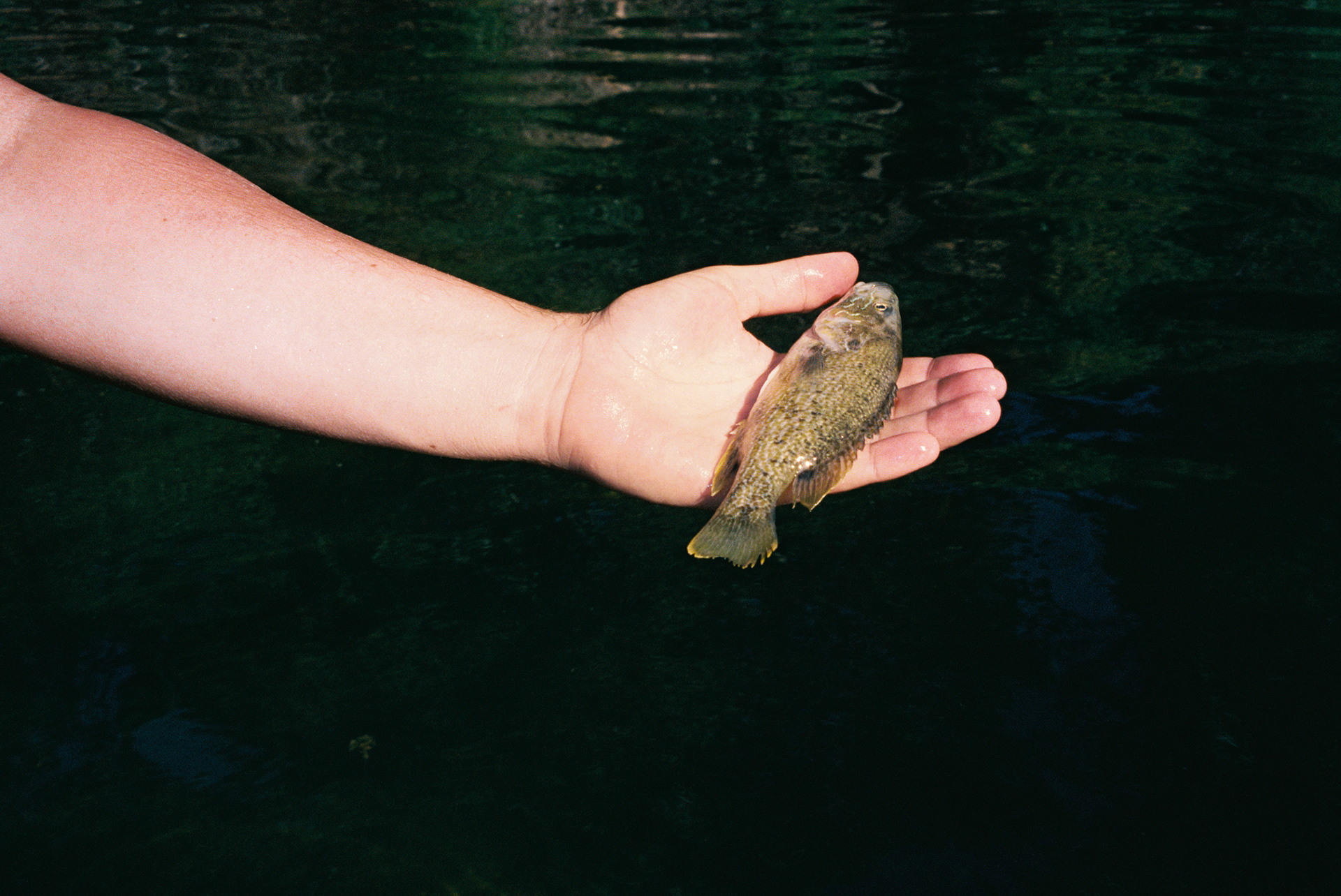 Sespe River, 2025