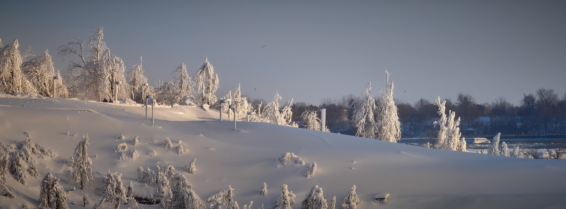 Horeseshoe Falls (US side): Image by Keith Feb '26