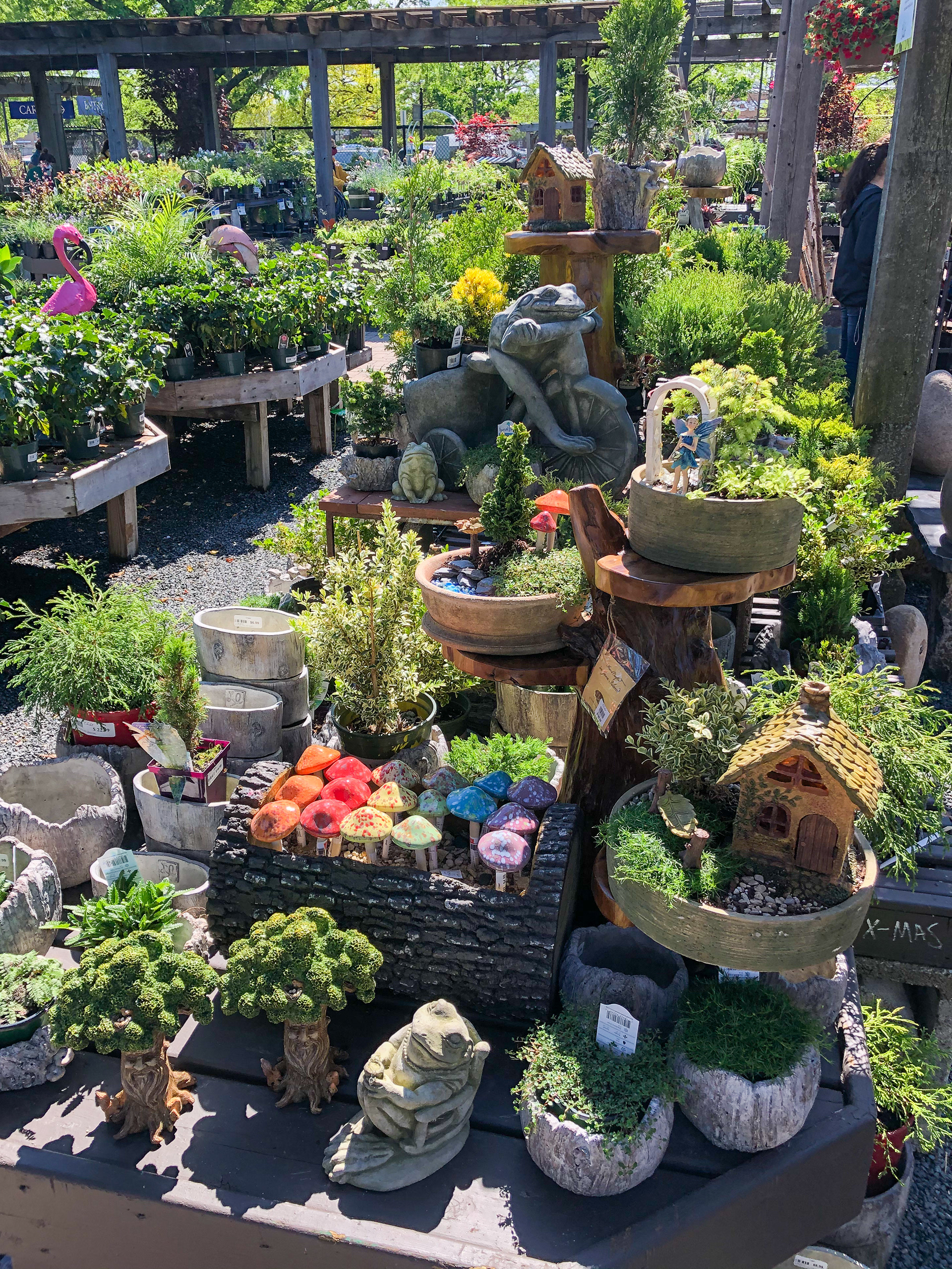 Planted display for Chalet