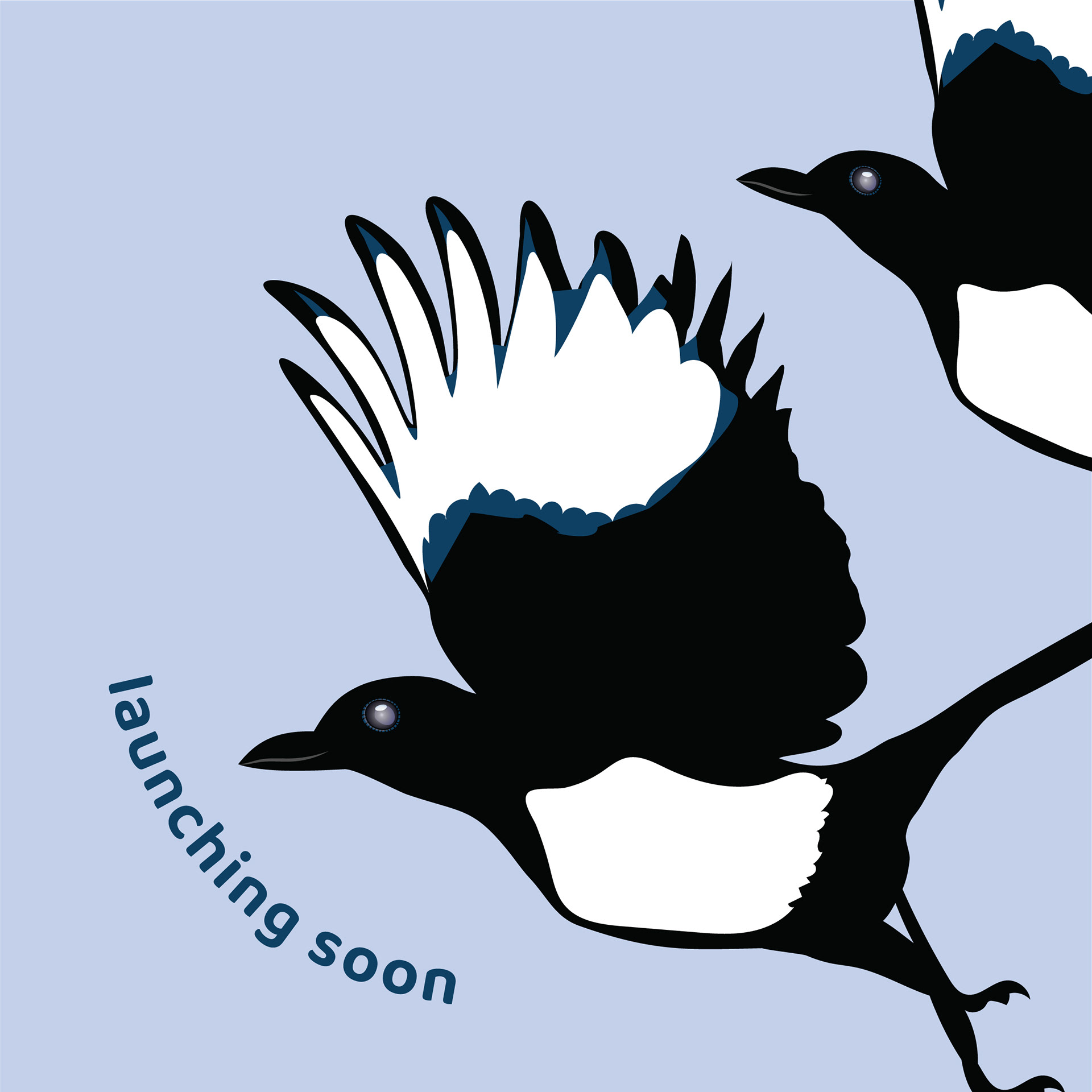 www.instagram.com/34searchingmagpies