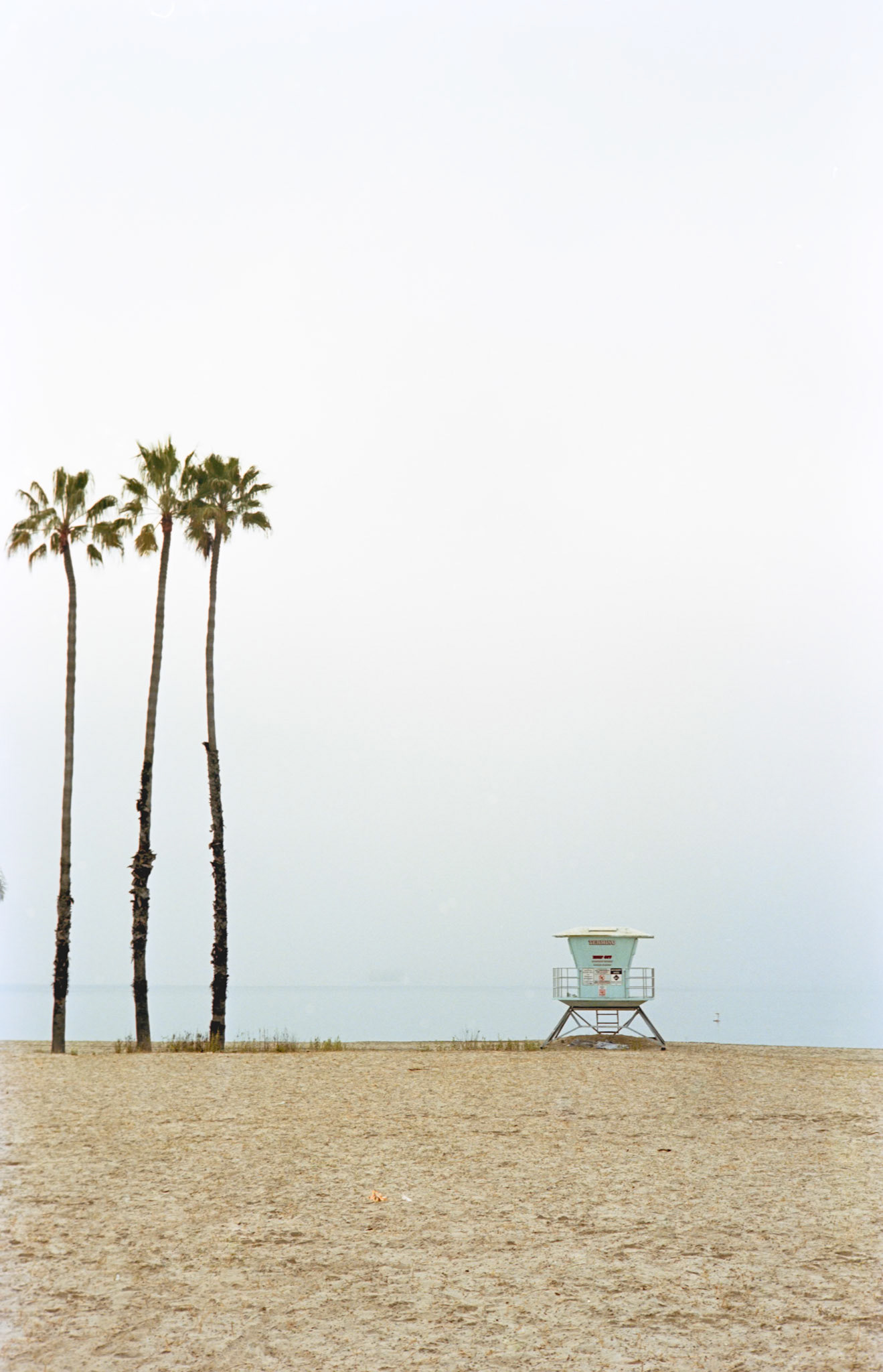 Leica M-A | Leica  | Kodak Portra 160Scanned with Hasselblad 907xHome developed in Cinestill C41 | 3:30 @ 104f | rotationNegative Lab Pro v3.0.2 | Color Model: Frontier | Pre-Sat: 5 | Tone Profile: Linear | LUT: Natural