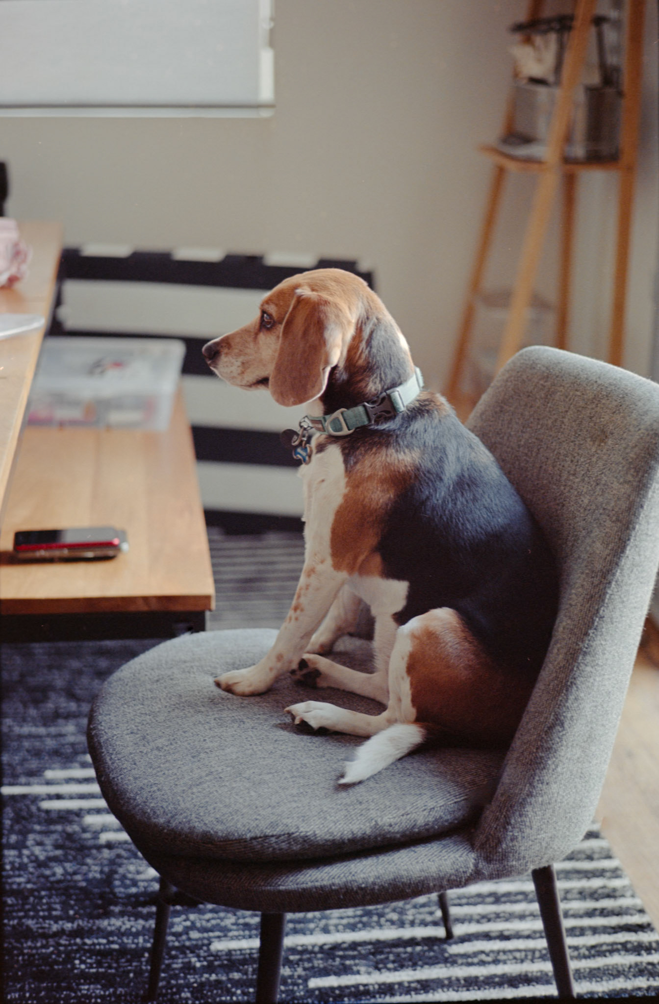 Leica M-A | Leica  | Kodak Portra 160Scanned with Hasselblad 907xHome developed in Cinestill C41 | 3:30 @ 104f | rotationNegative Lab Pro v3.0.2 | Color Model: Frontier | Pre-Sat: 5 | Tone Profile: Cinematic - Flat | WB: Auto-Neutral | LUT: Natural
