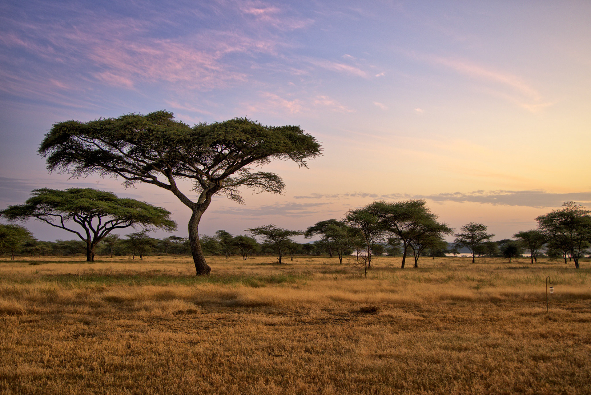 HDR created and tone mapped with easyHDR 3.16.2: [1] IMG_09598.CR3, [2] IMG_09599.CR3, [3] IMG_09597.CR3, [4] IMG_09600.CR3, [5] IMG_09601.CR3