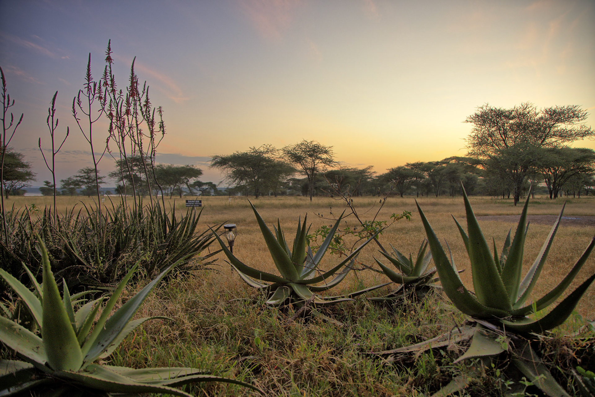 HDR created and tone mapped with easyHDR 3.16.2: [1] IMG_09613.CR3, [2] IMG_09614.CR3, [3] IMG_09612.CR3, [4] IMG_09615.CR3, [5] IMG_09616.CR3