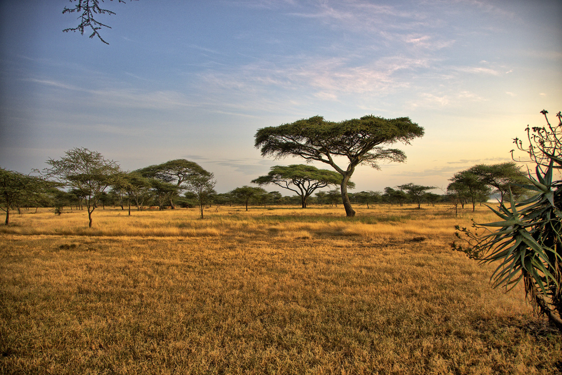 HDR created and tone mapped with easyHDR 3.16.2: [1] IMG_09588.CR3, [2] IMG_09589.CR3, [3] IMG_09587.CR3, [4] IMG_09590.CR3, [5] IMG_09591.CR3