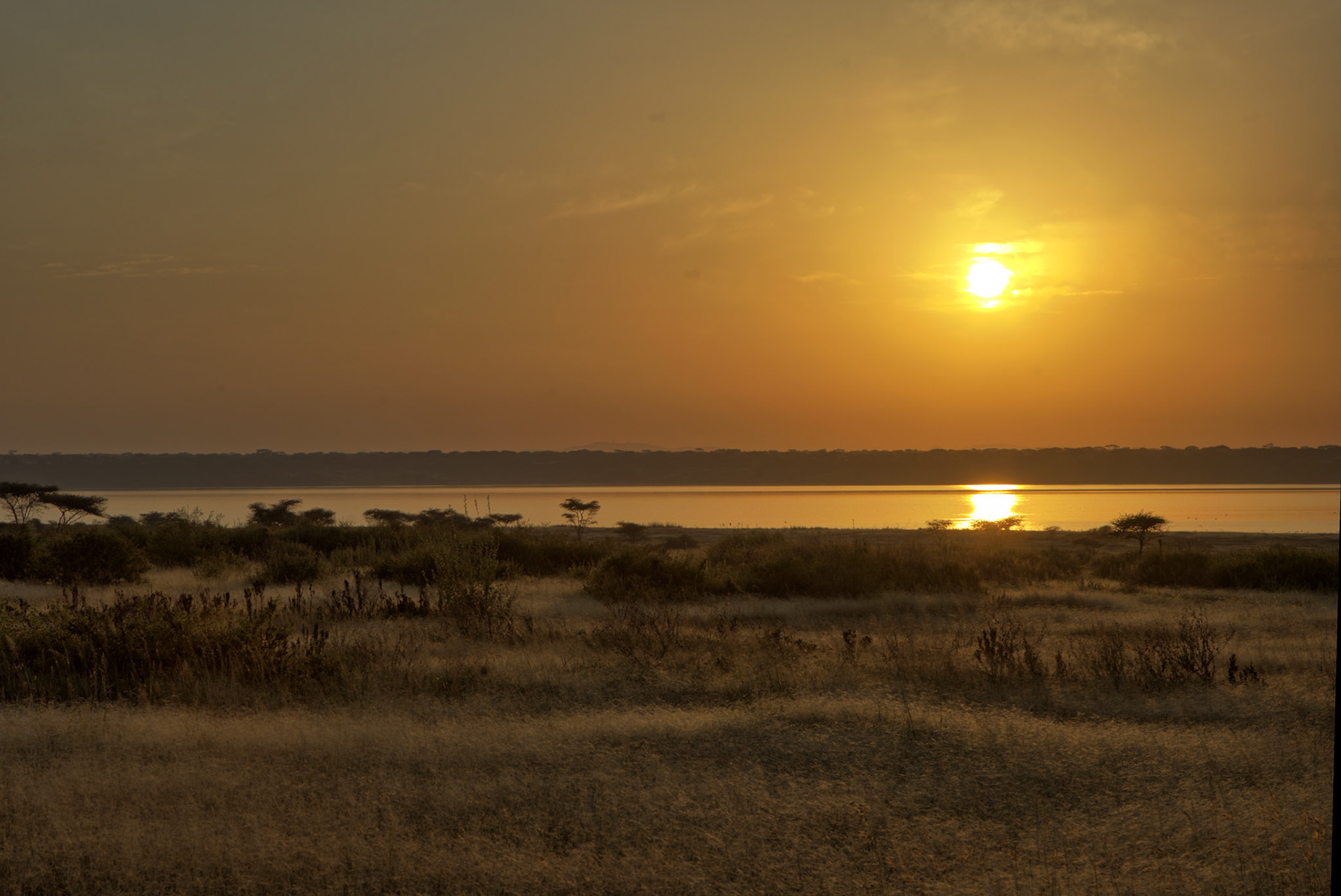 HDR created and tone mapped with easyHDR 3.16.2: [1] IMG_09655.CR3, [2] IMG_09656.CR3, [3] IMG_09654.CR3, [4] IMG_09657.CR3, [5] IMG_09658.CR3