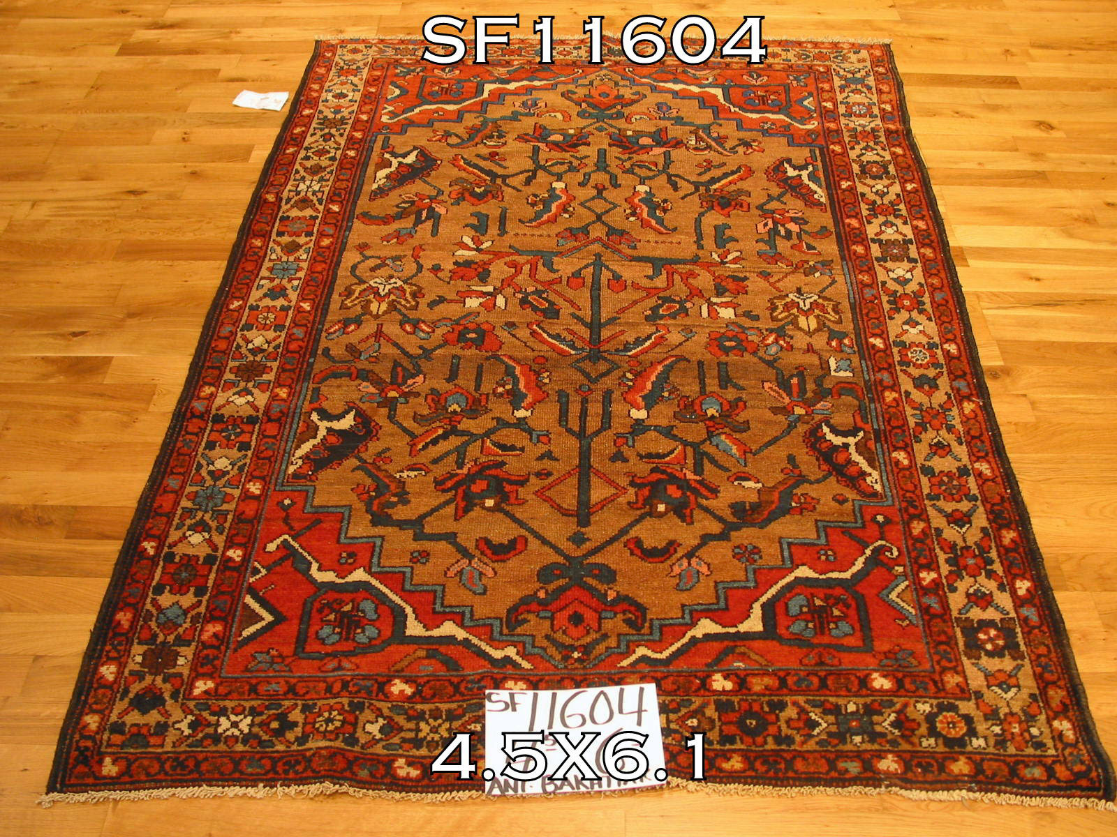 ANT BAKHTAR 4.5X6.1