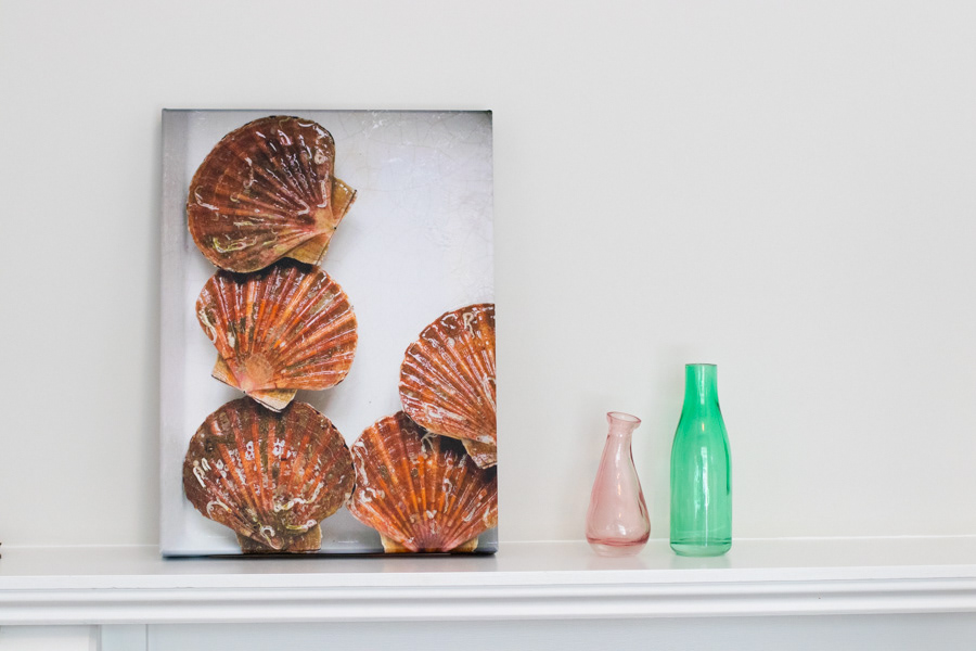 Scallop shells in porcelaine sink on finely woven, glossy fabric