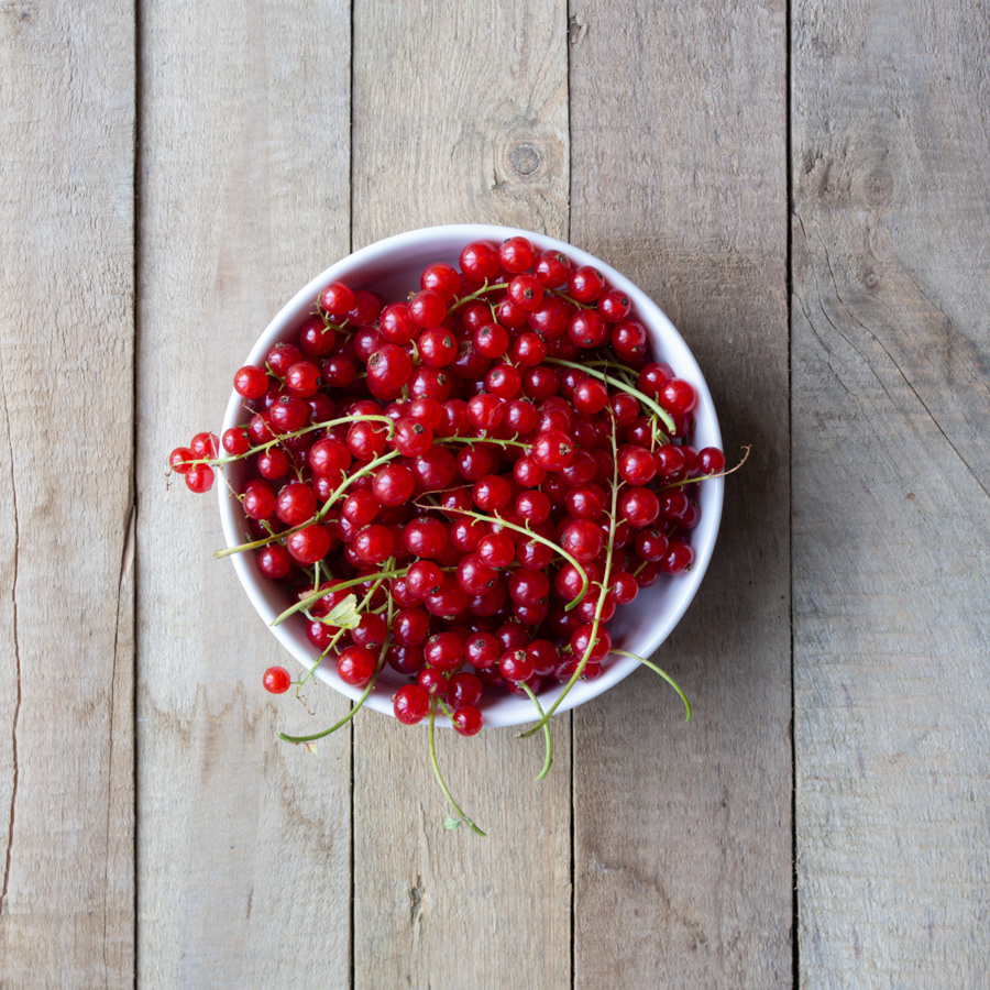 Red Currants