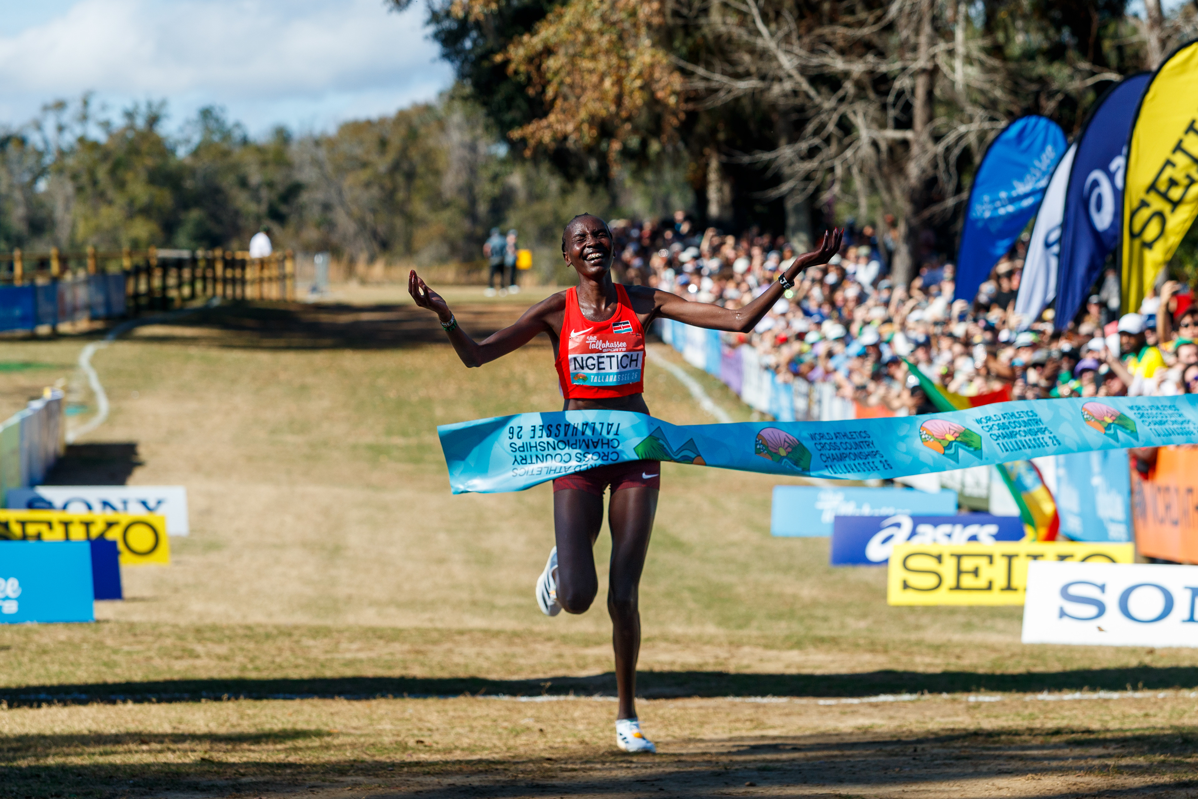 World Athletics Cross Country Championships - 2026