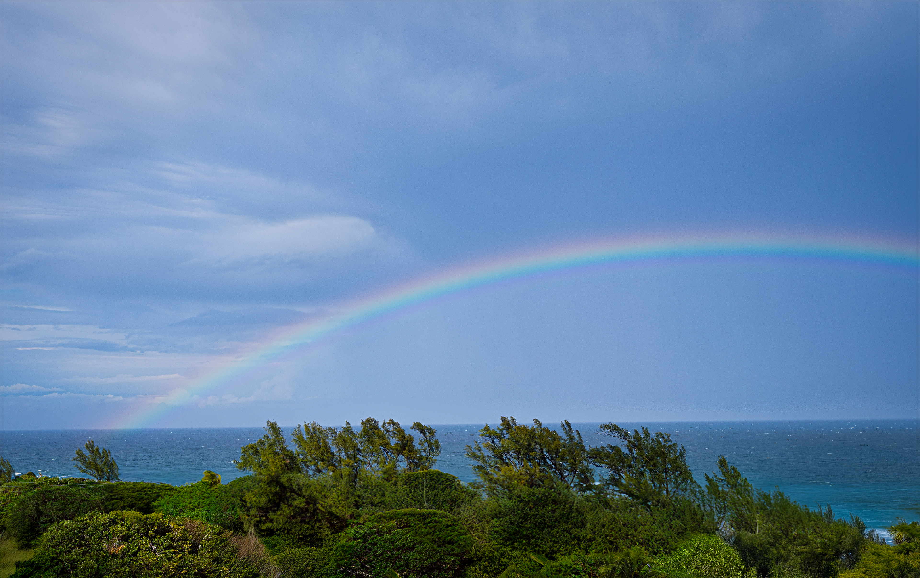 Rainbow