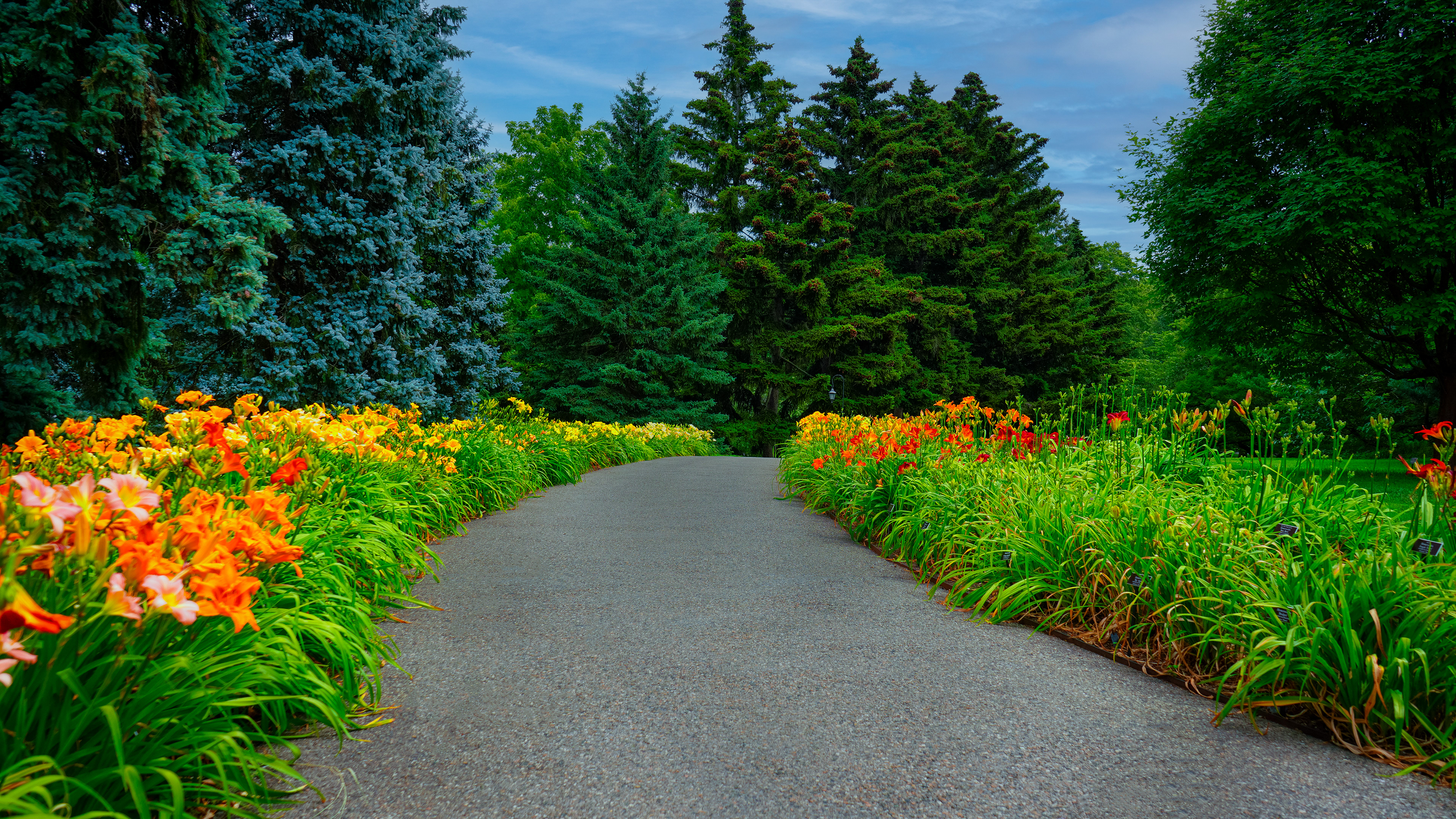 Daylilly Path - NY Botanical Garden