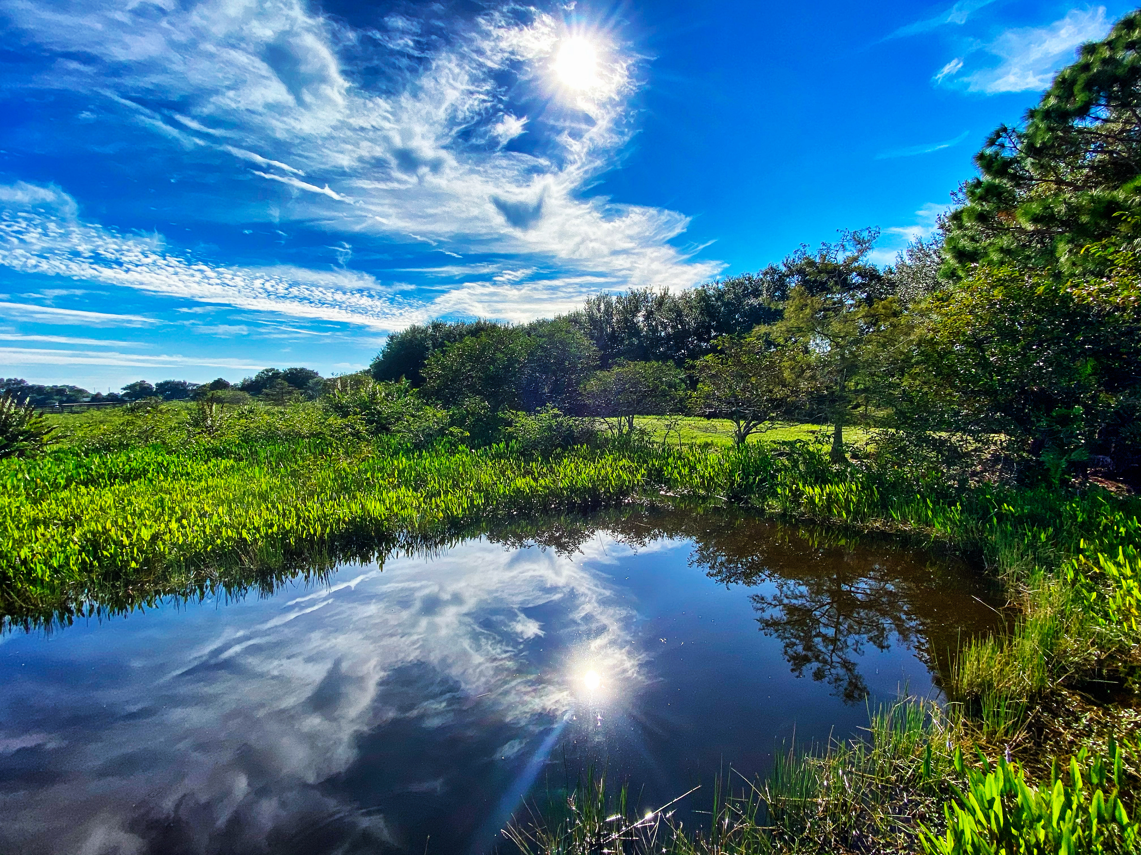 Wakodahatchee Wetlands, Delray, Florida.
