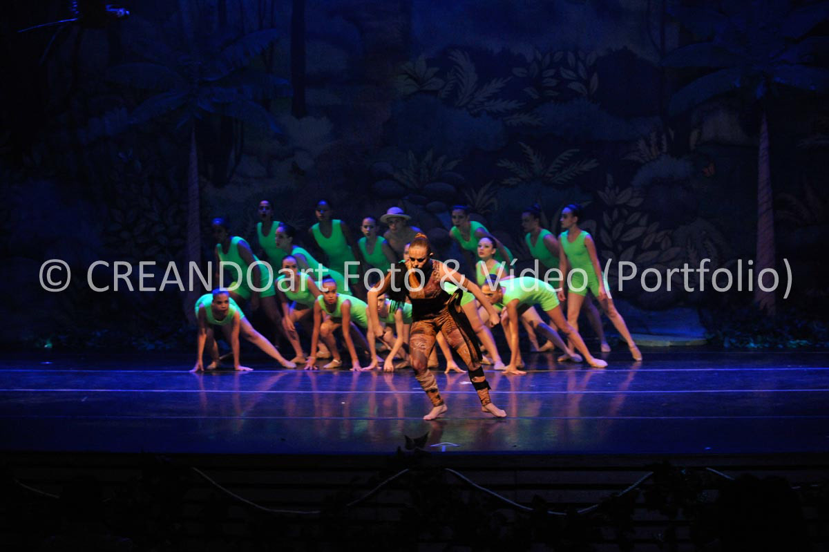 Festival Anual de Ballet do VG Studio Escola de Dança