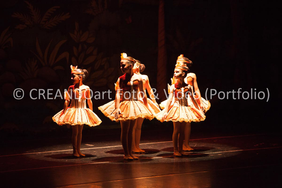 Festival Anual de Ballet do VG Studio Escola de Dança