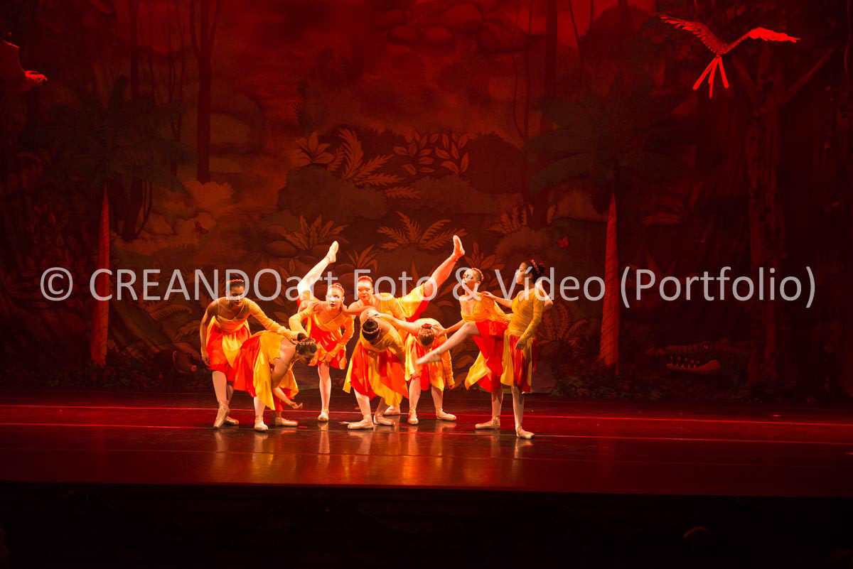 Festival Anual de Ballet do VG Studio Escola de Dança