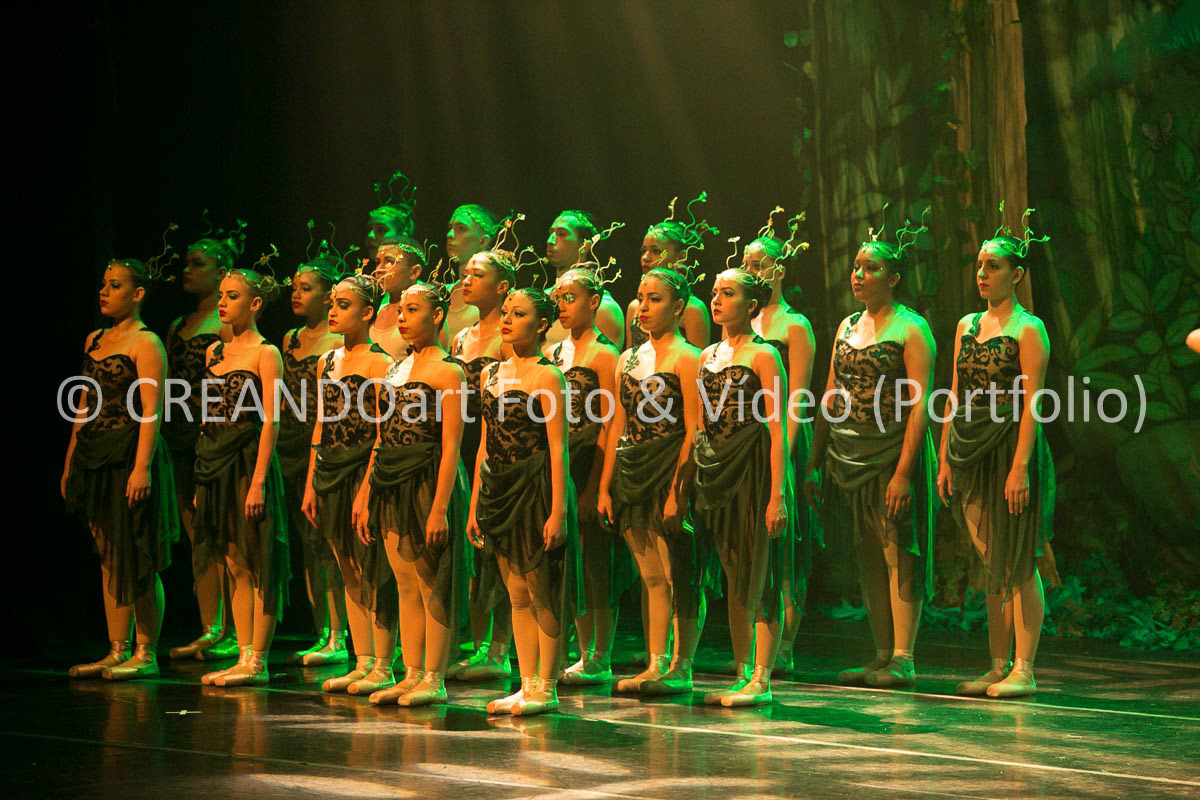 Festival Anual de Ballet do VG Studio Escola de Dança