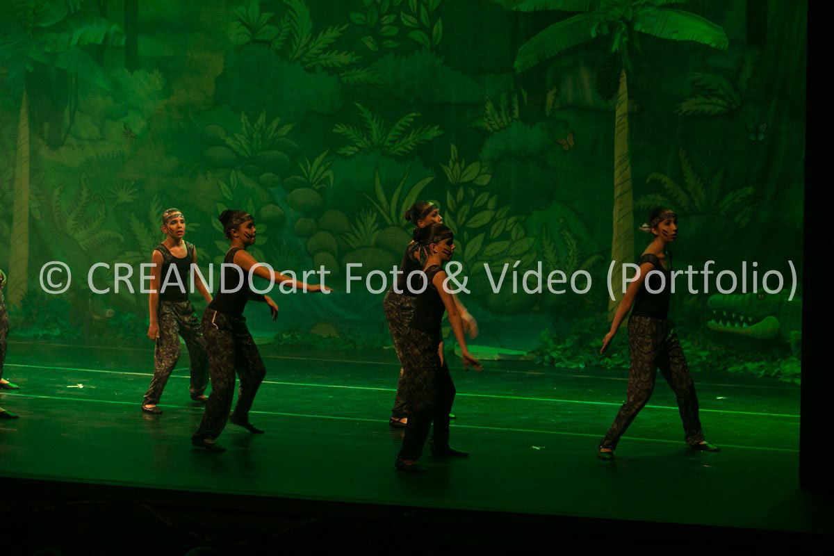 Festival Anual de Ballet do VG Studio Escola de Dança