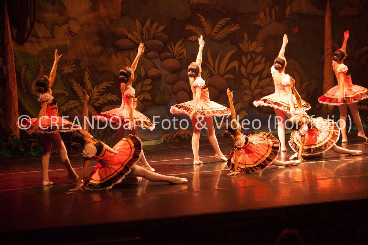 Festival Anual de Ballet do VG Studio Escola de Dança
