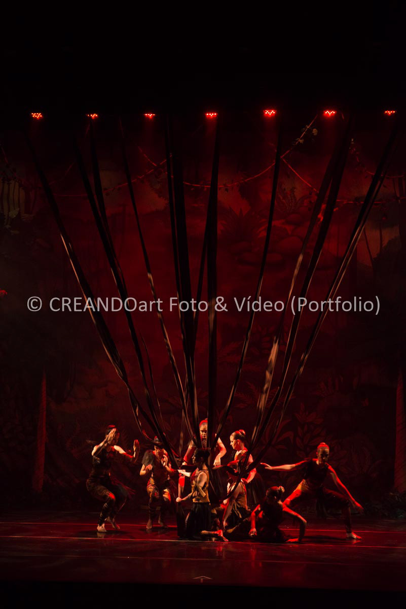 Festival Anual de Ballet do VG Studio Escola de Dança