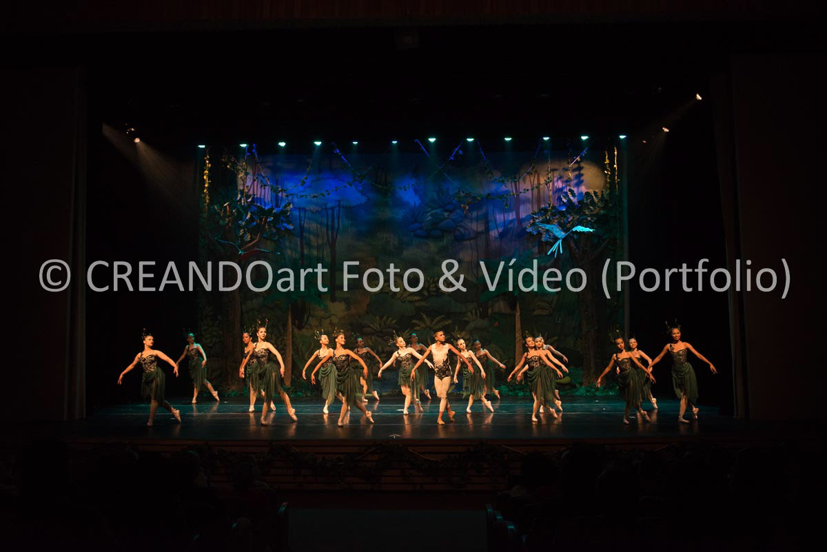 Festival Anual de Ballet do VG Studio Escola de Dança