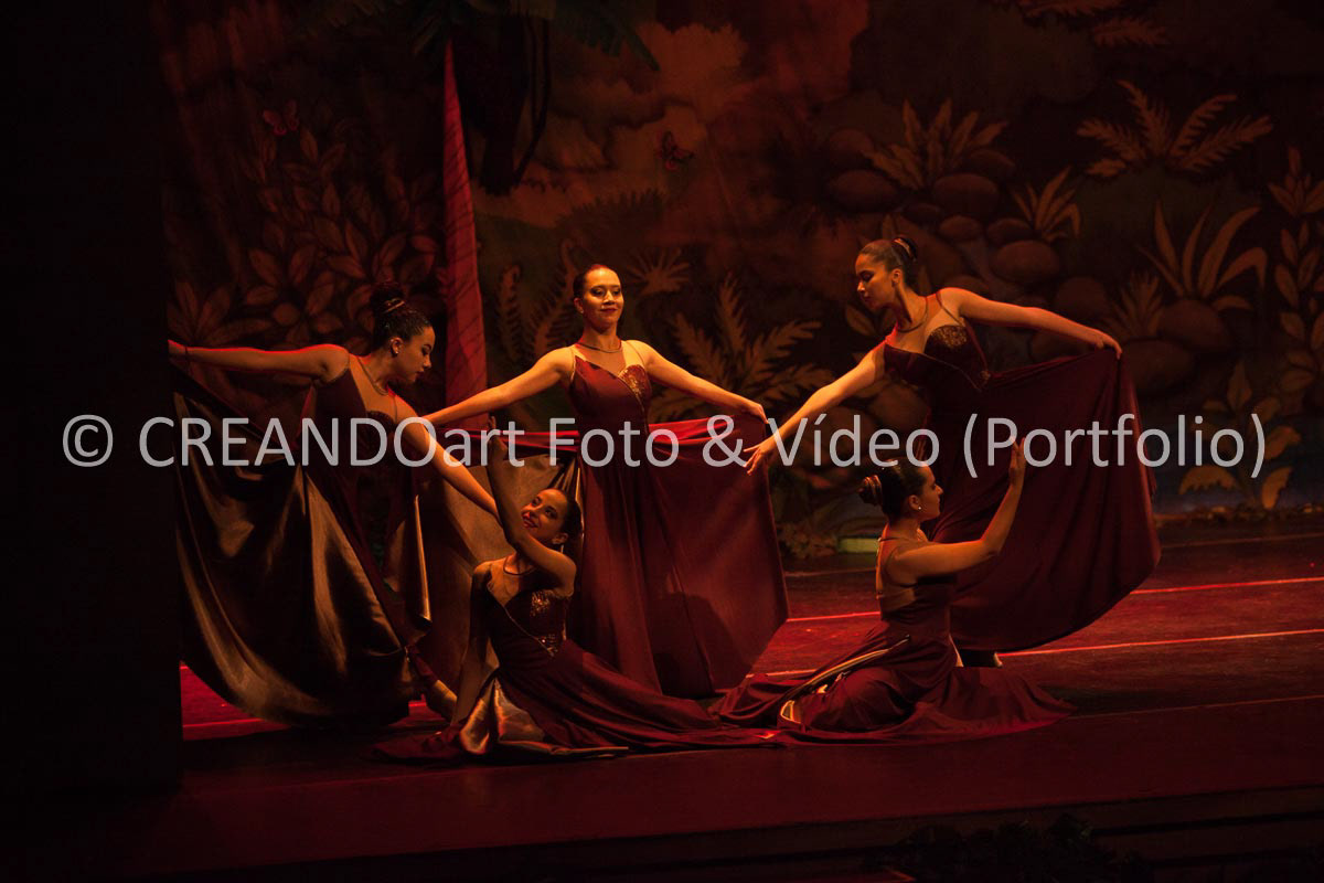 Festival Anual de Ballet do VG Studio Escola de Dança