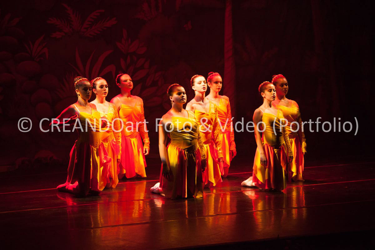 Festival Anual de Ballet do VG Studio Escola de Dança