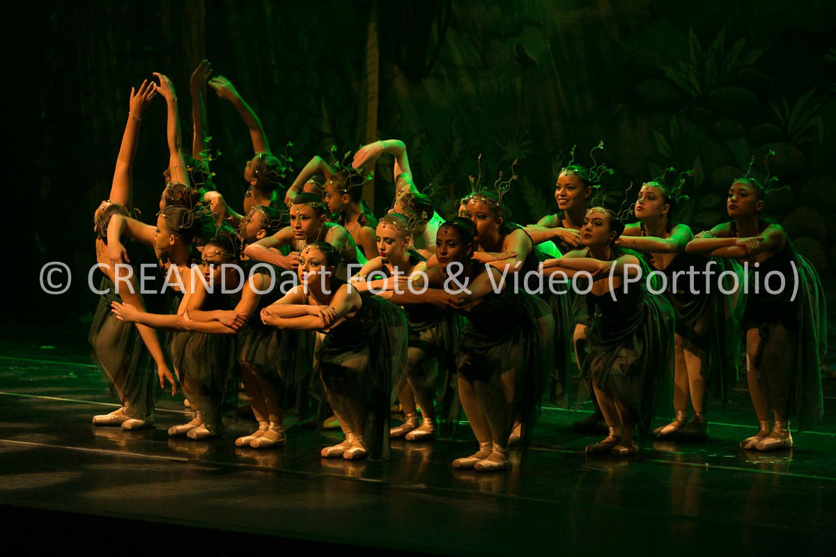 Festival Anual de Ballet do VG Studio Escola de Dança