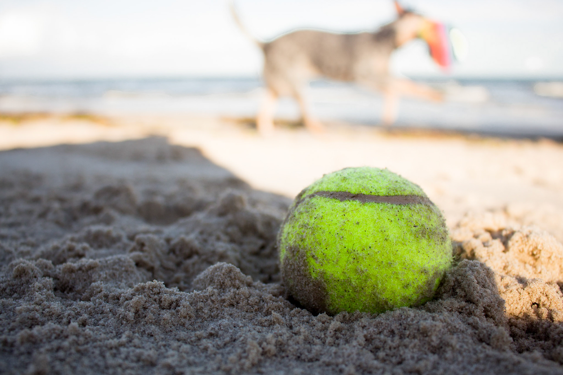 Get the Ball