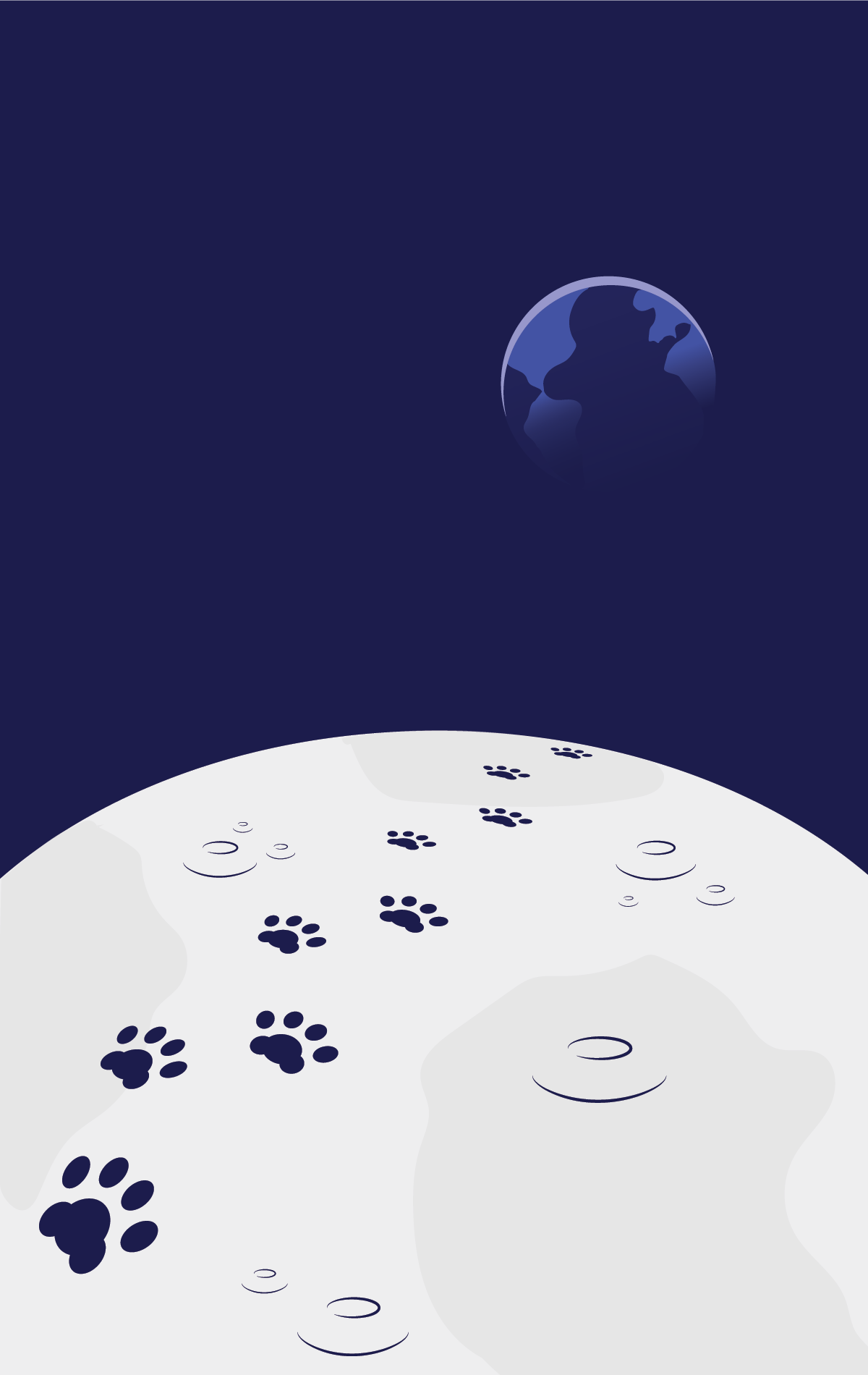 Cat and moon | 2023 