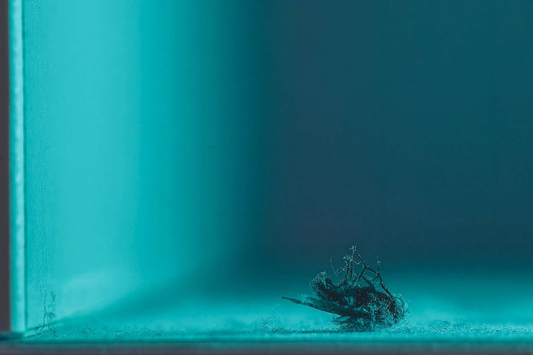 blue death