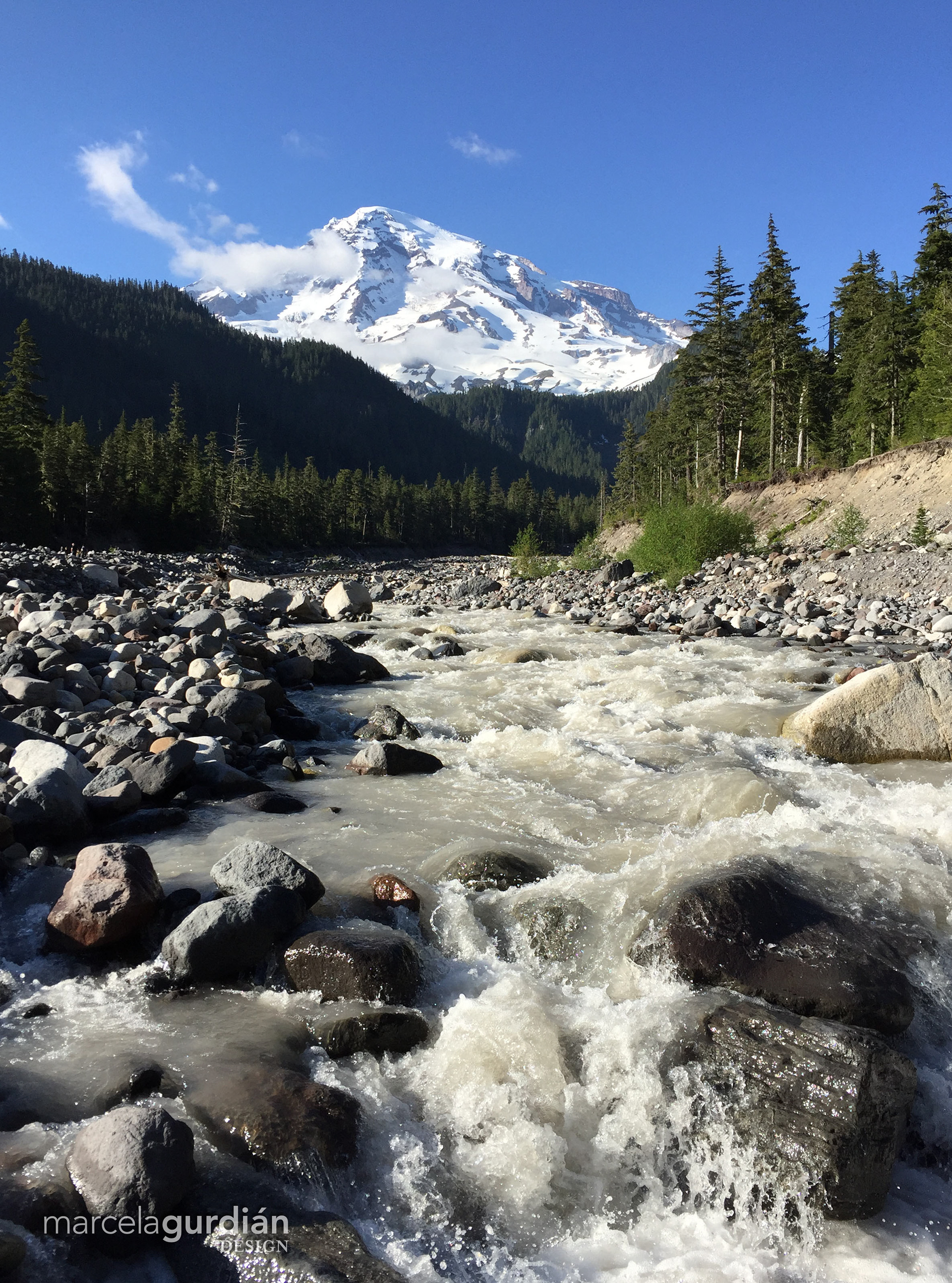 Mount Rainier, Washington USA