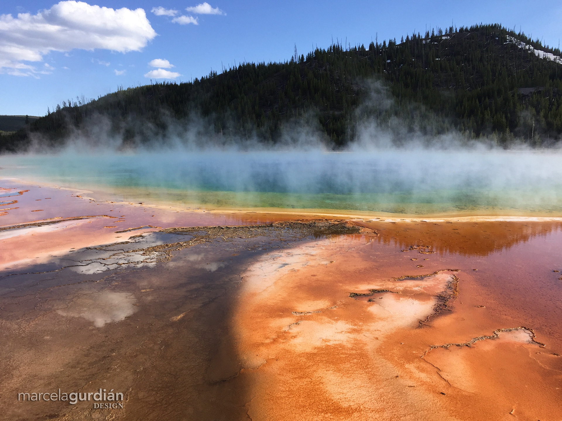 Yellowstone, Wyoming USA