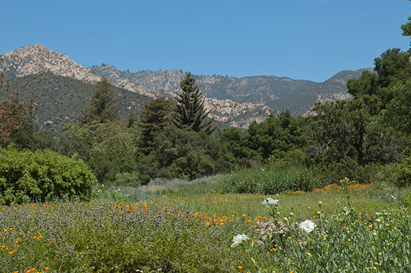 Santa Barbara Botanic Garden © 2013