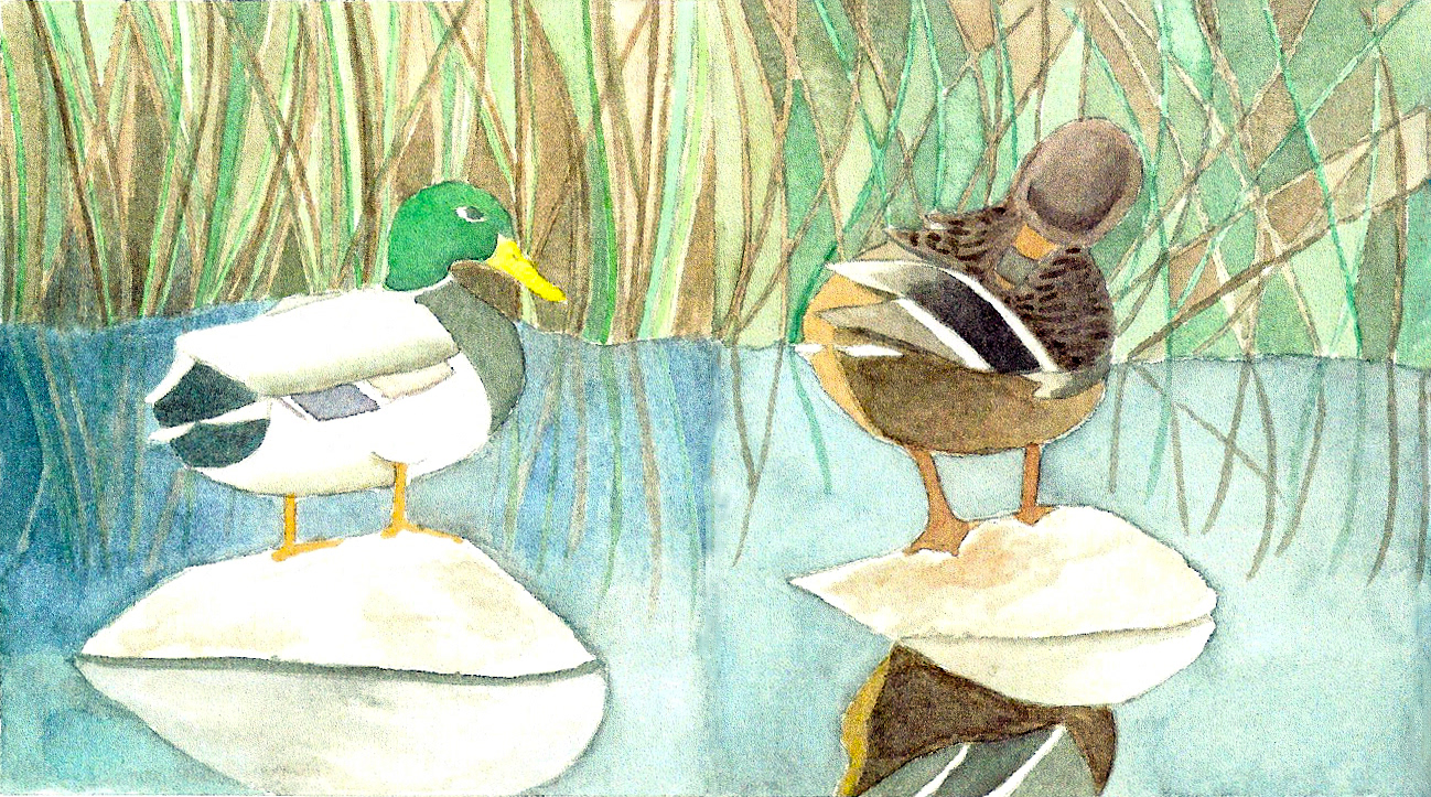 Two Ducks © 2011
